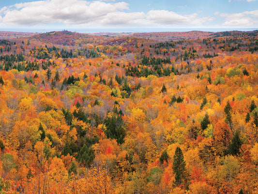 Autumn Palette, Marquette, Michigan '12-color Canvas Art