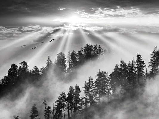 Smoky Mountain Sunrise, Tennessee 13 - Black & White Canvas Art