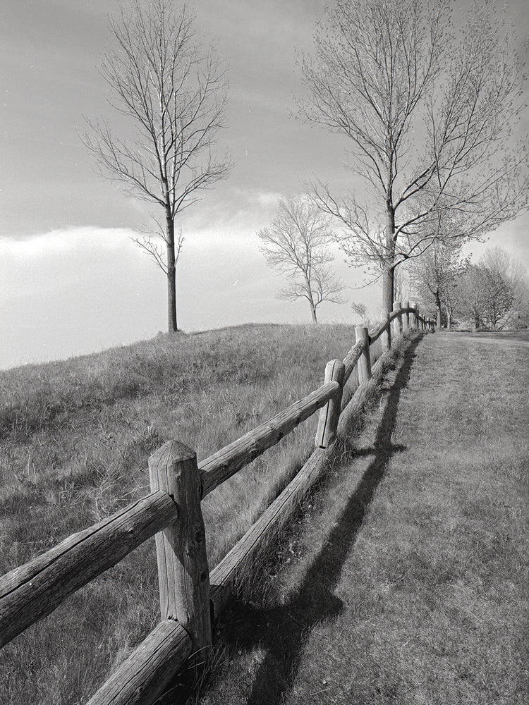 Fences And Trees, Empire, Michigan
