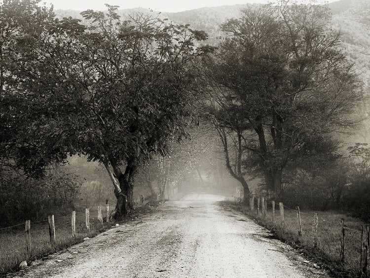 Arte de la lona de Sparks Lane