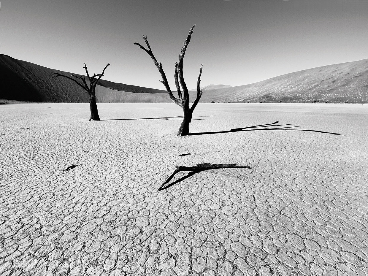 Namibia Dead Vlei