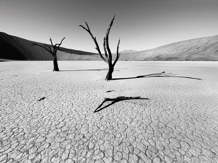 Namibia Dead Vlei