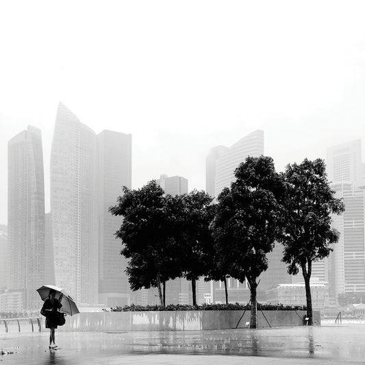 Singapore Umbrella