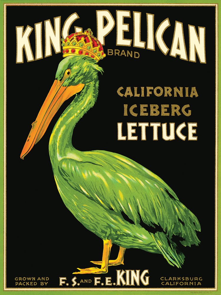 Arte de la lona de la lechuga de la marca King Pelican