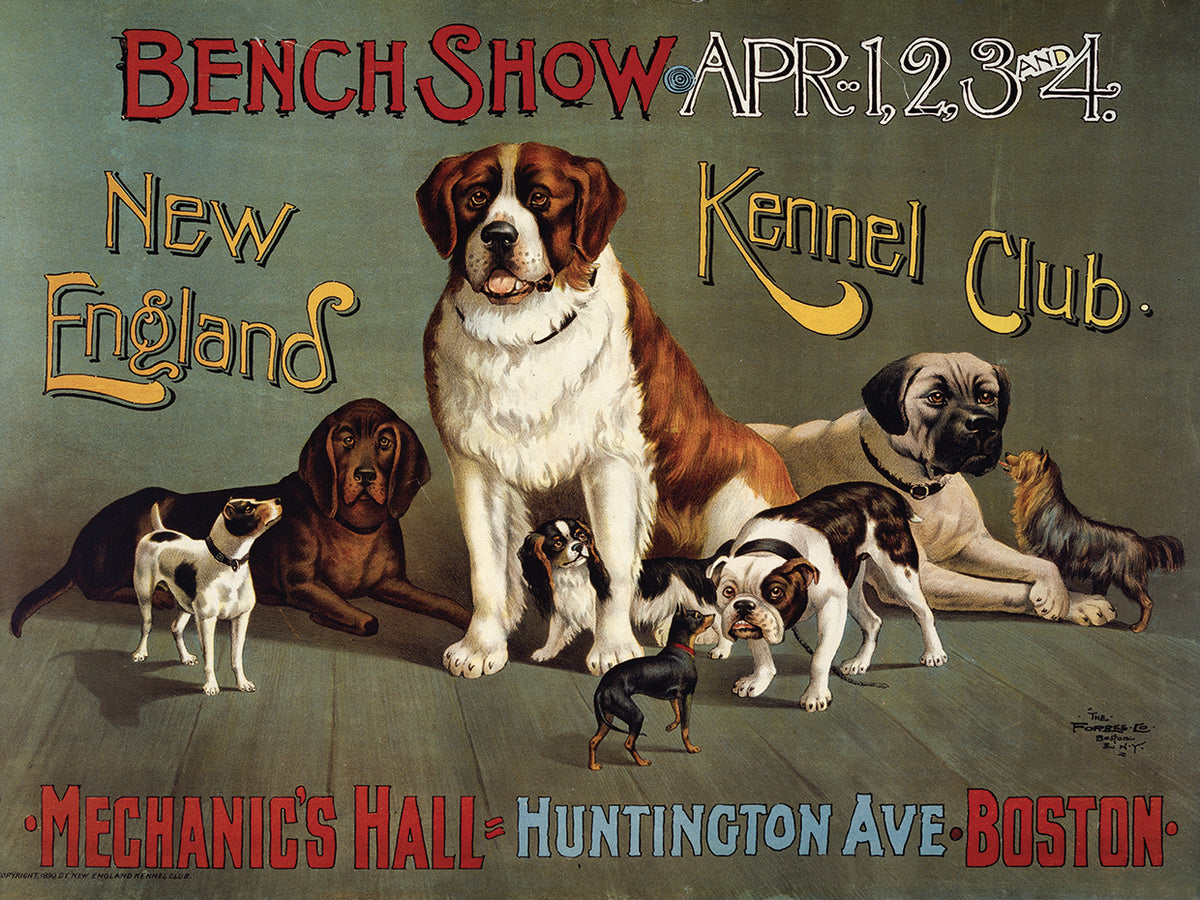 Bench Show. New England Kennel Club