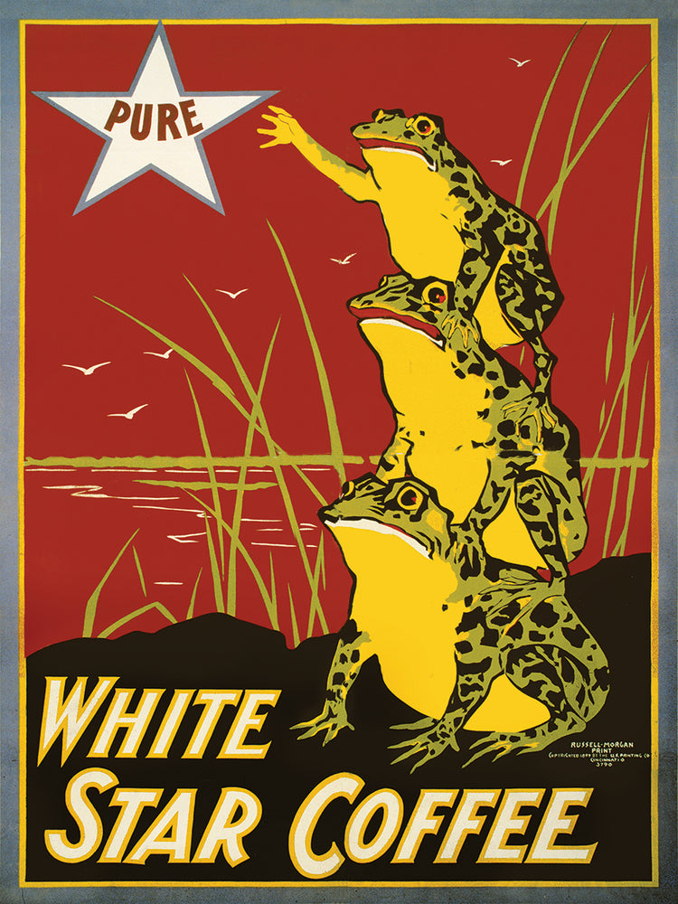 Pure White Star Coffee, arte en lienzo de ranas