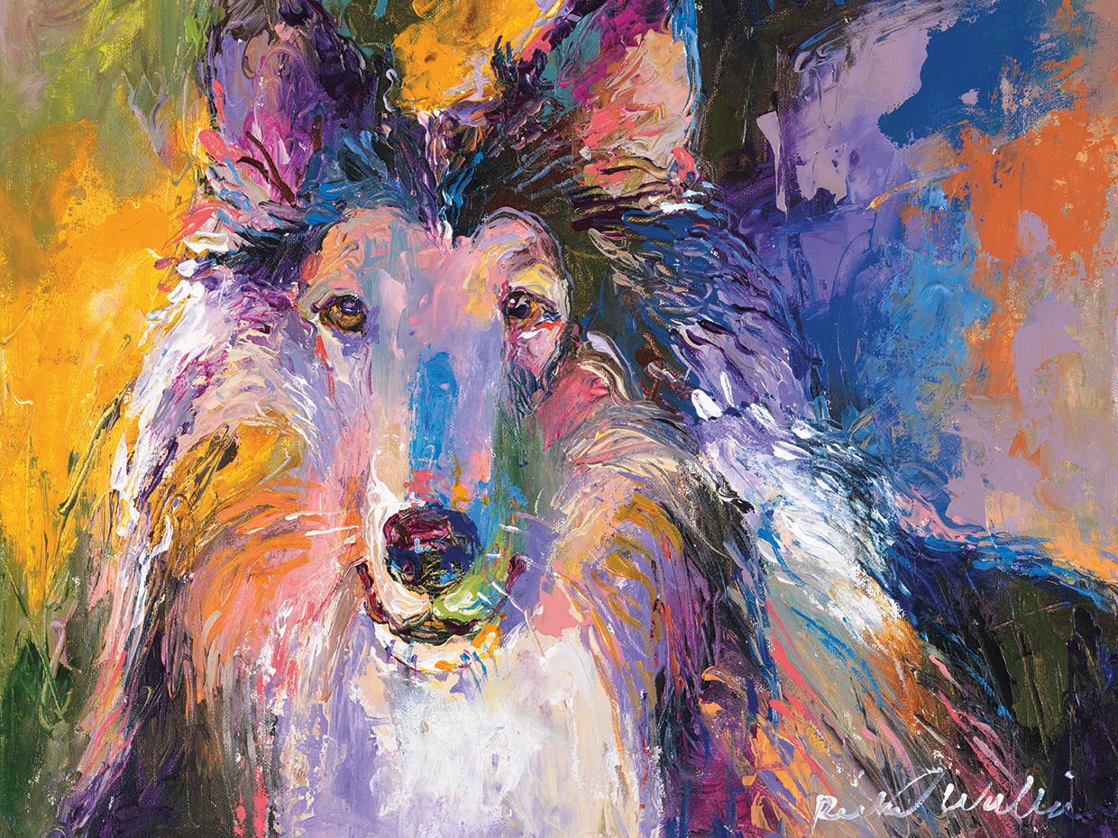 Collie