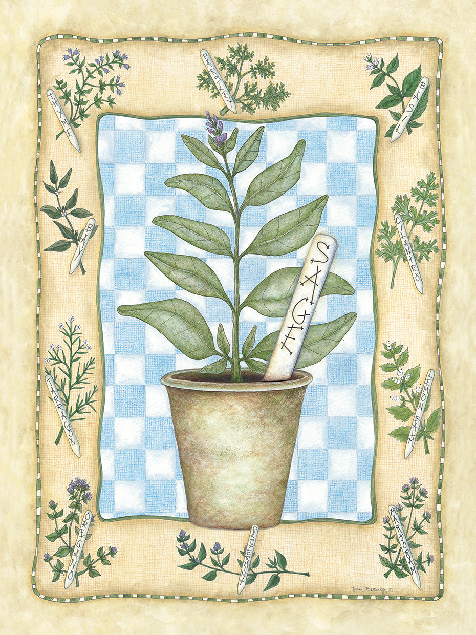 Sage