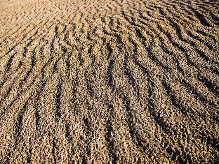 Canunda National Park