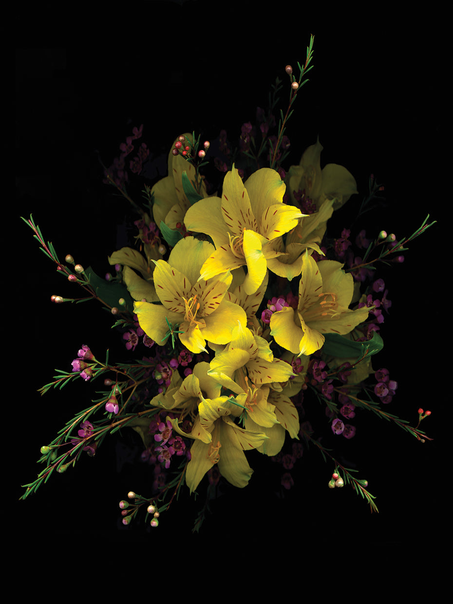 Yellow Alstromeria & Waxflower