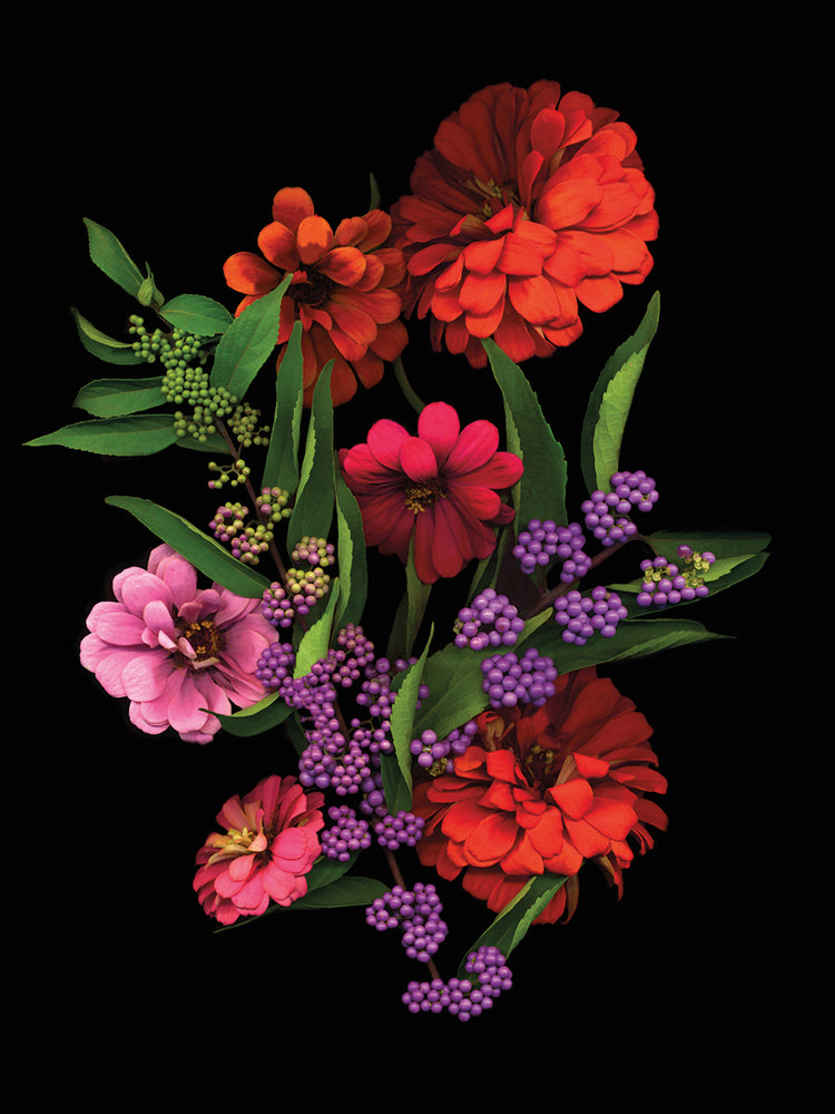 Zinnia And Berries