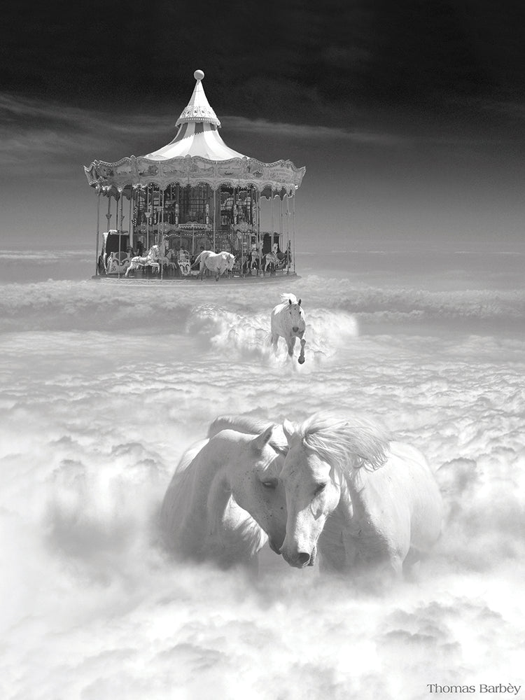 Horsing Around Vertical