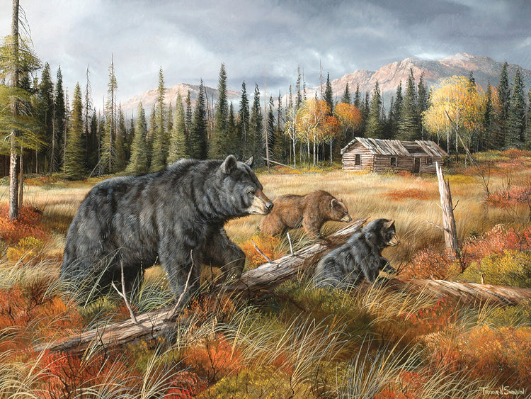 Careful Through The Meadow