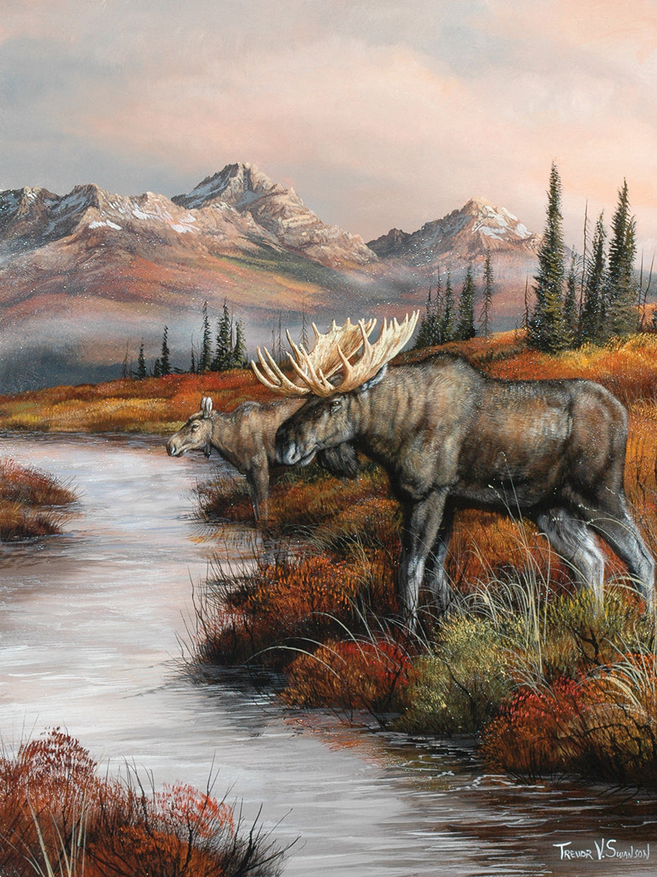 Evening At Water's Edge