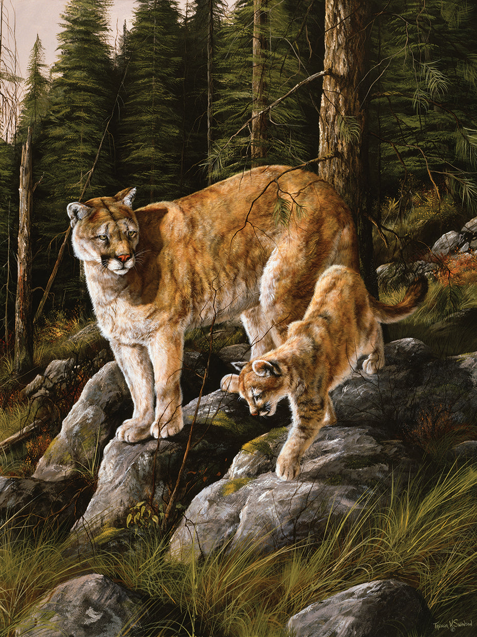 Mother and Child (Mt. Lions)