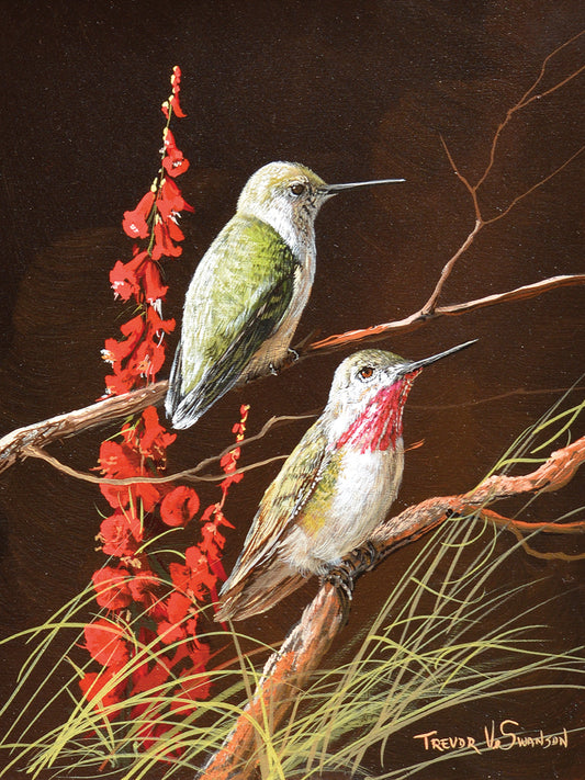 Hummingbirds Canvas Print