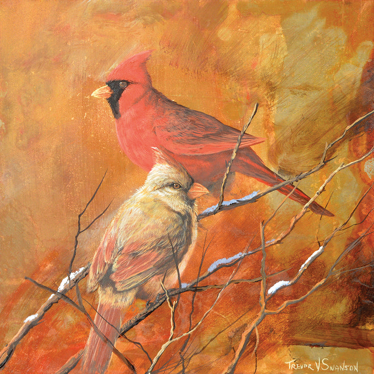 Cardinal Bird