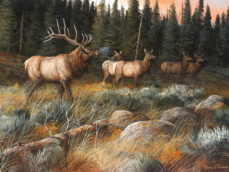 Autumn And On The Move