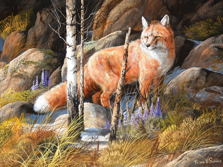 Brief Glimpse Through Cover