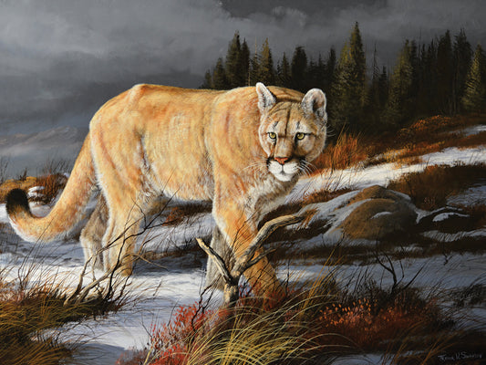 Evening Hunter Canvas Print