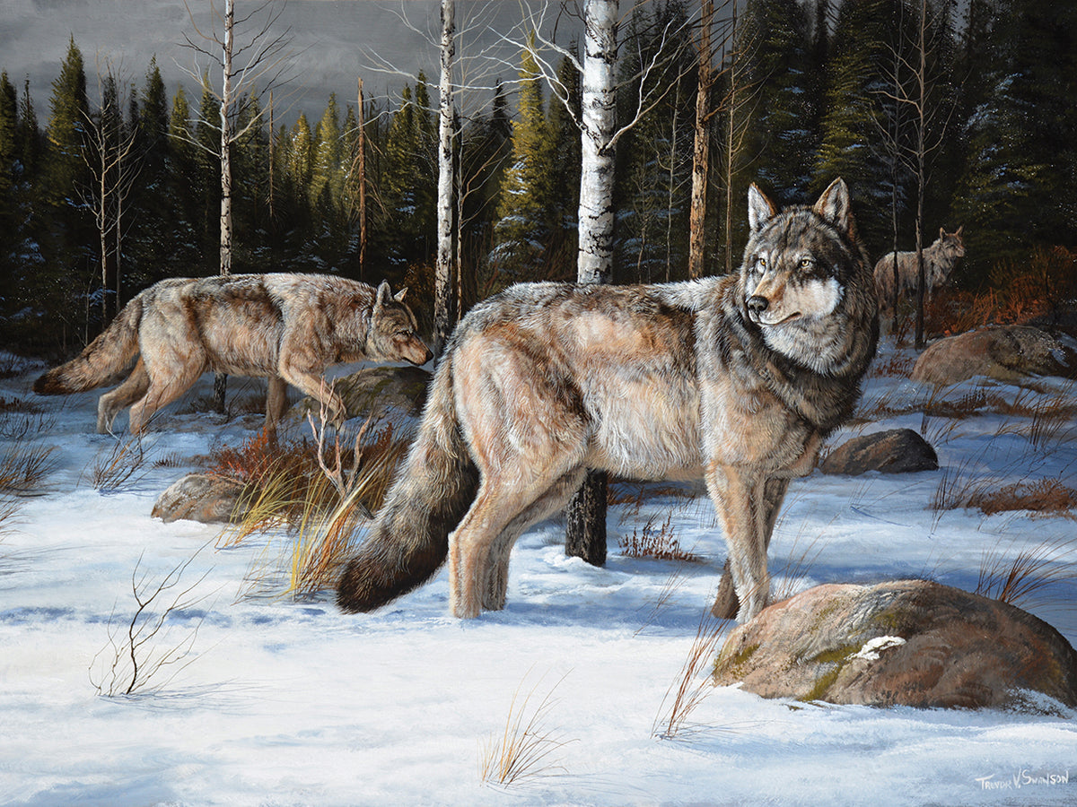 Pack Leaders