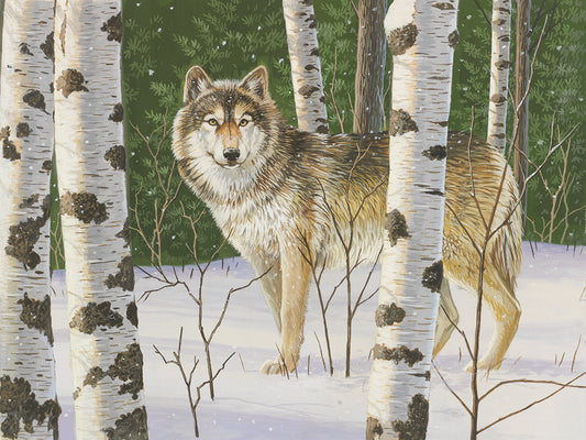 Lone Wolf Canvas Print