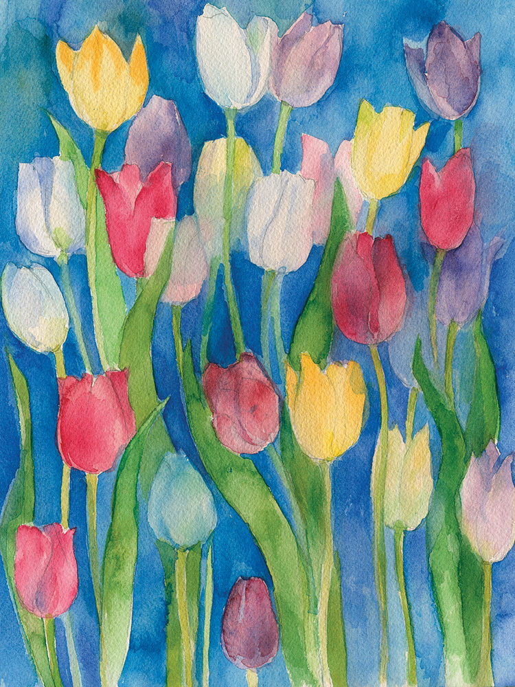 Watercolors Tulips