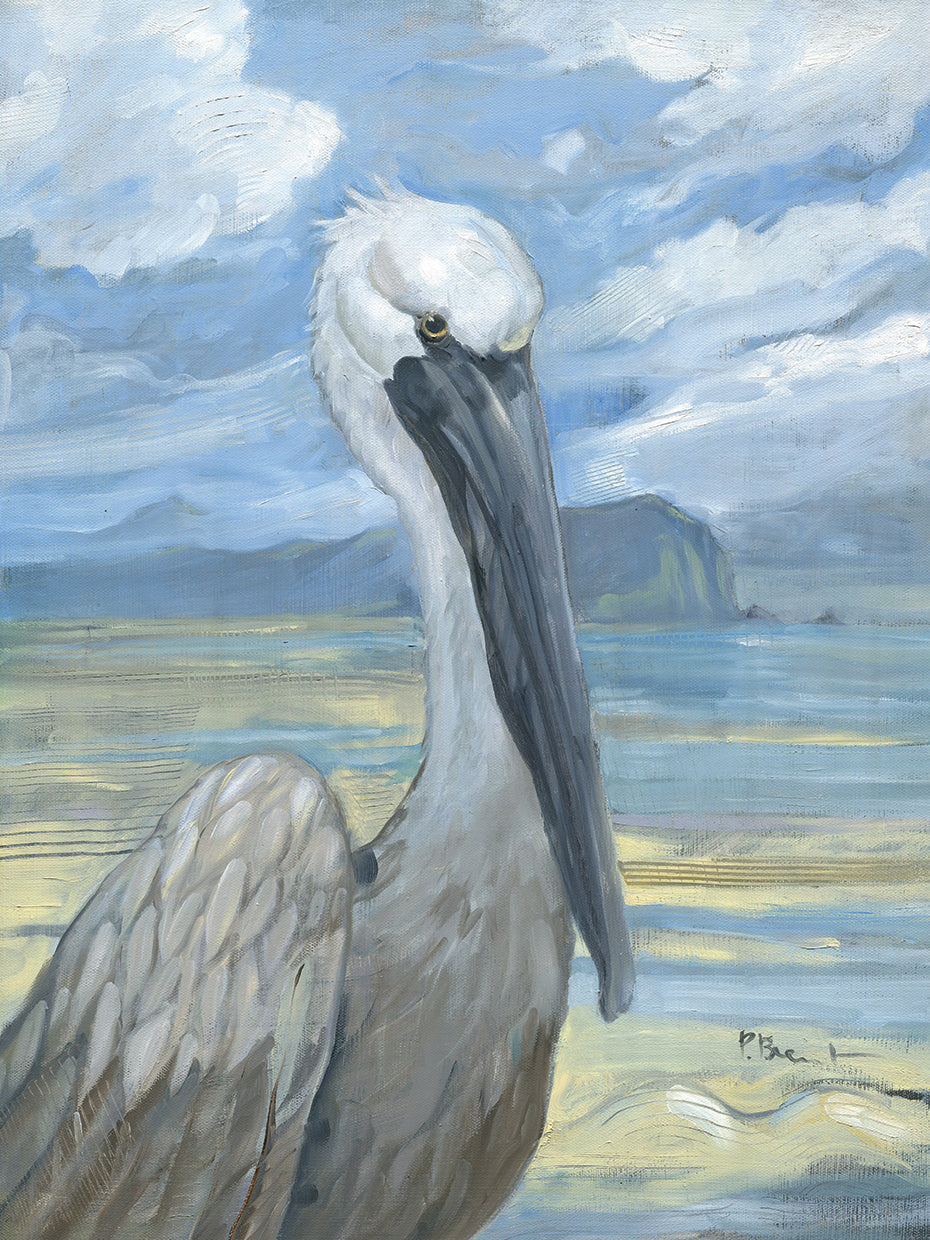 Salty Pelican by Paul Brent  - handcrafted wall art work on large canvas & framed canvas prints, made to order