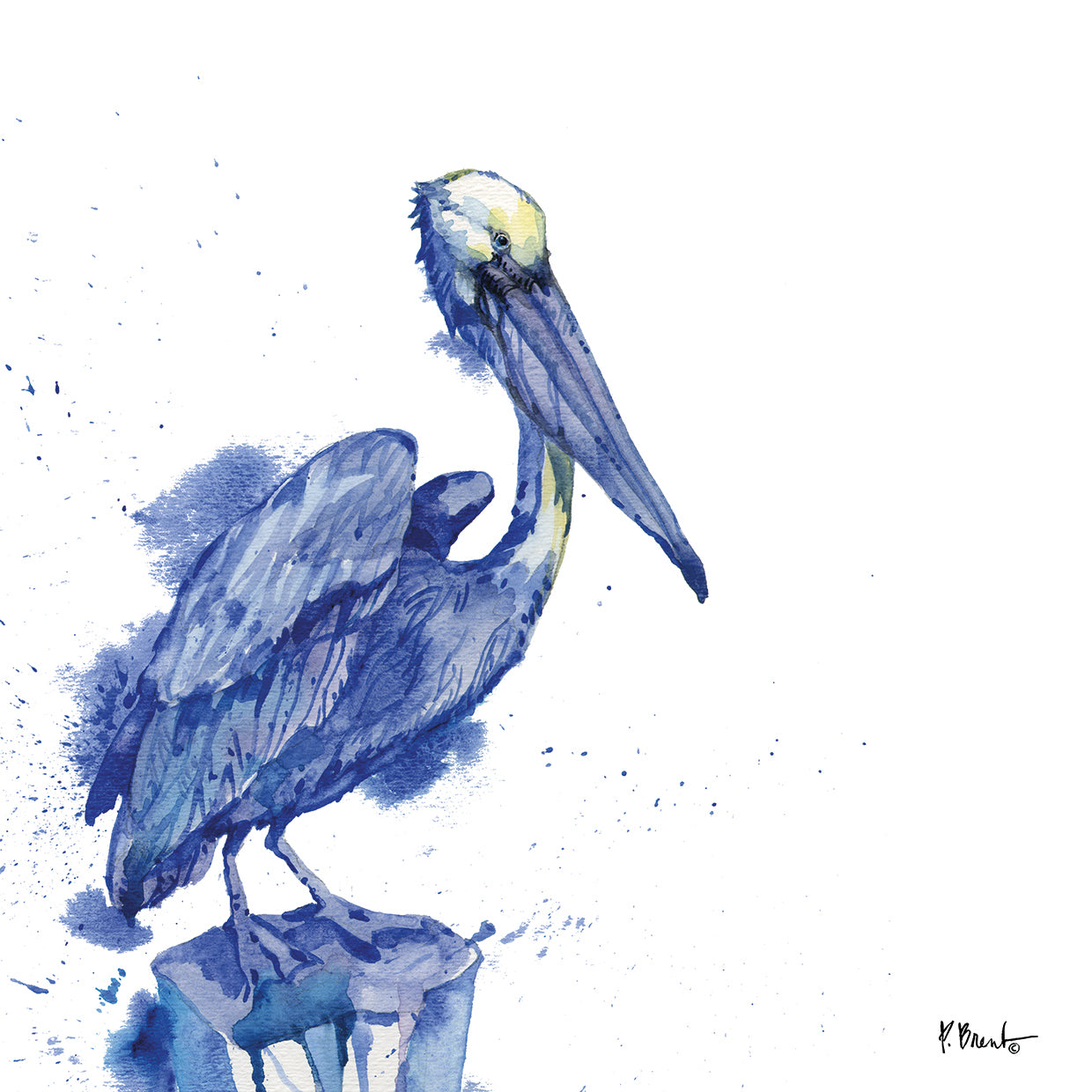 Arianna Pelican - White by Paul Brent - larger sizes handcrafted wall art work on large canvas & framed canvas prints