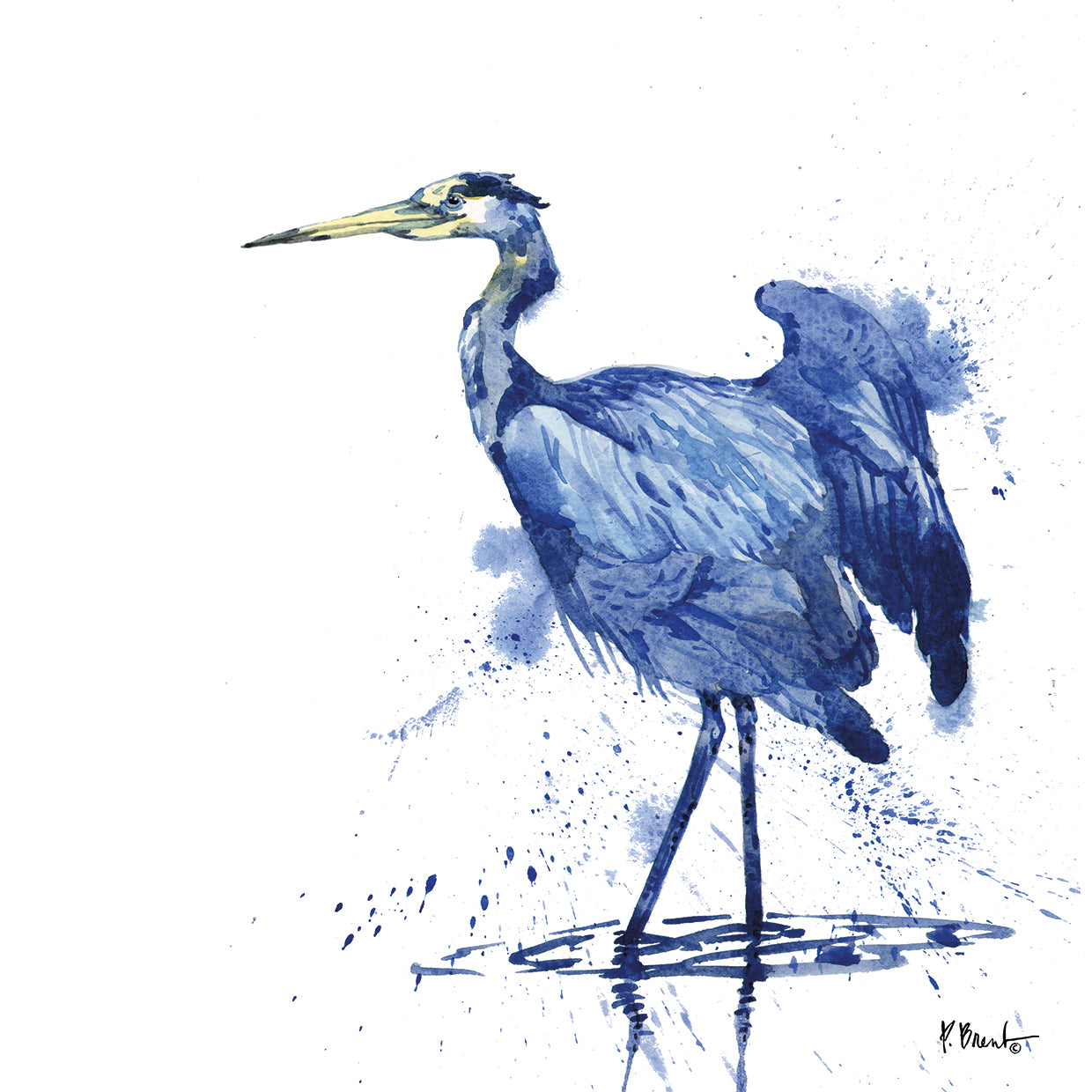 Arianna Blue Heron - White by Paul Brent - top quality wall art work on large canvas & framed canvas prints