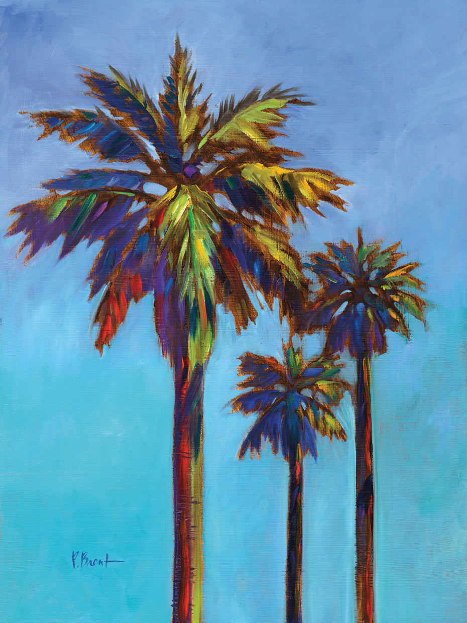 Santa Rita Palm I by Paul Brent - best quality handcrafted wall art work on large canvas & framed canvas prints