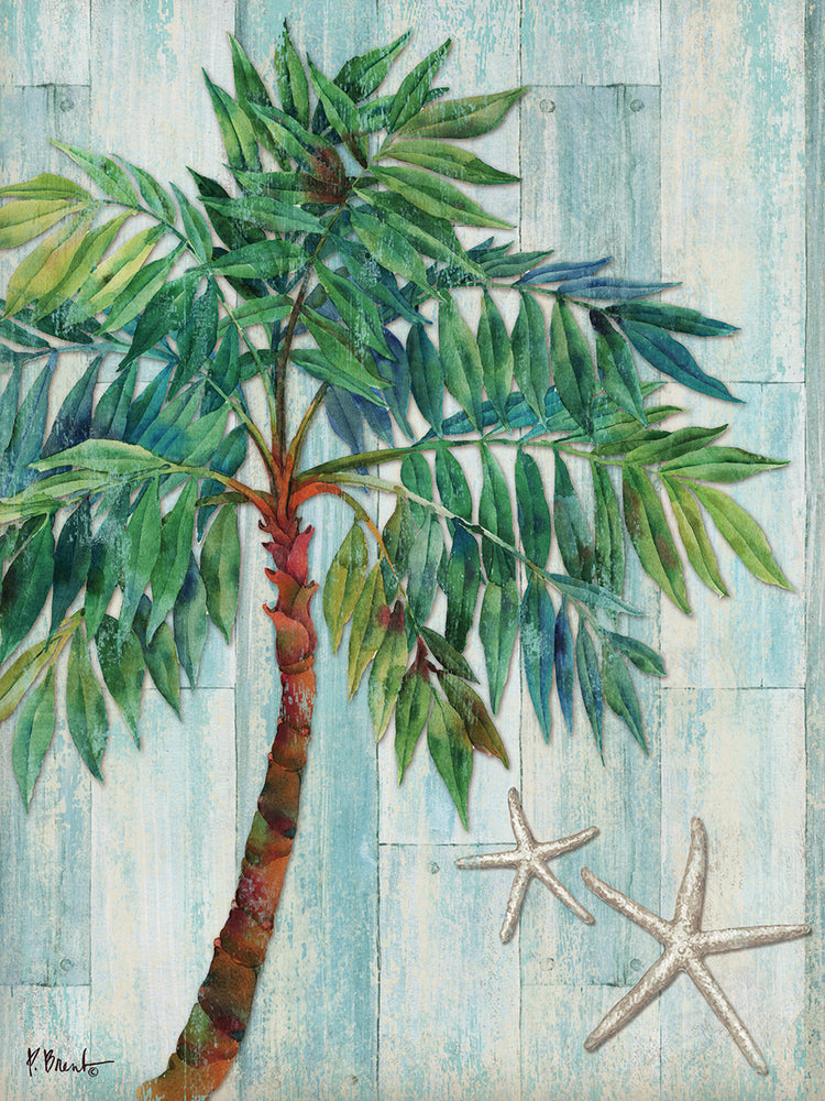 Clearwater Palm I by Paul Brent - best quality handcrafted wall art work on large canvas & framed canvas prints