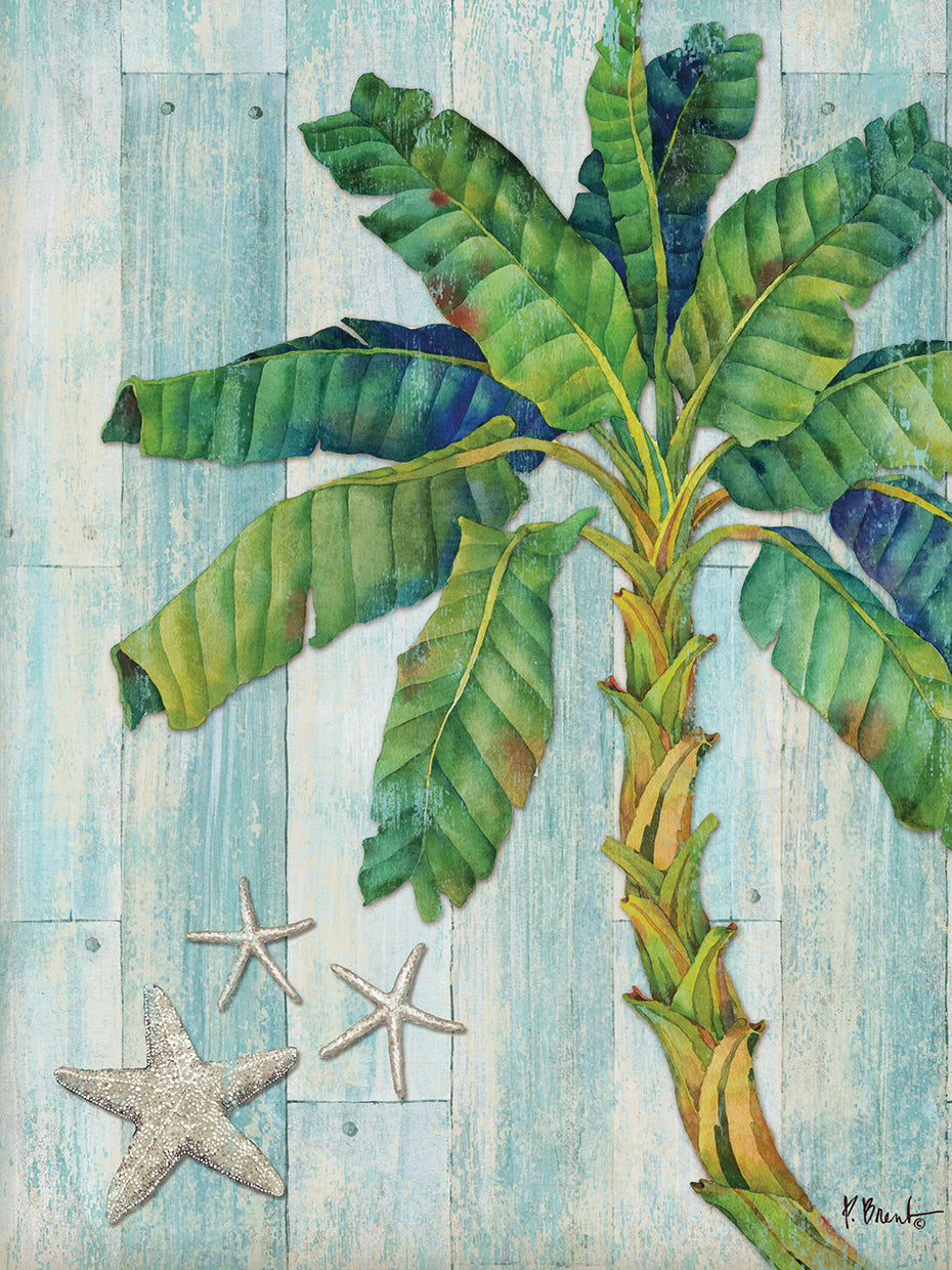 Clearwater Palm II by Paul Brent - museum quality wall art work on large canvas & framed canvas prints