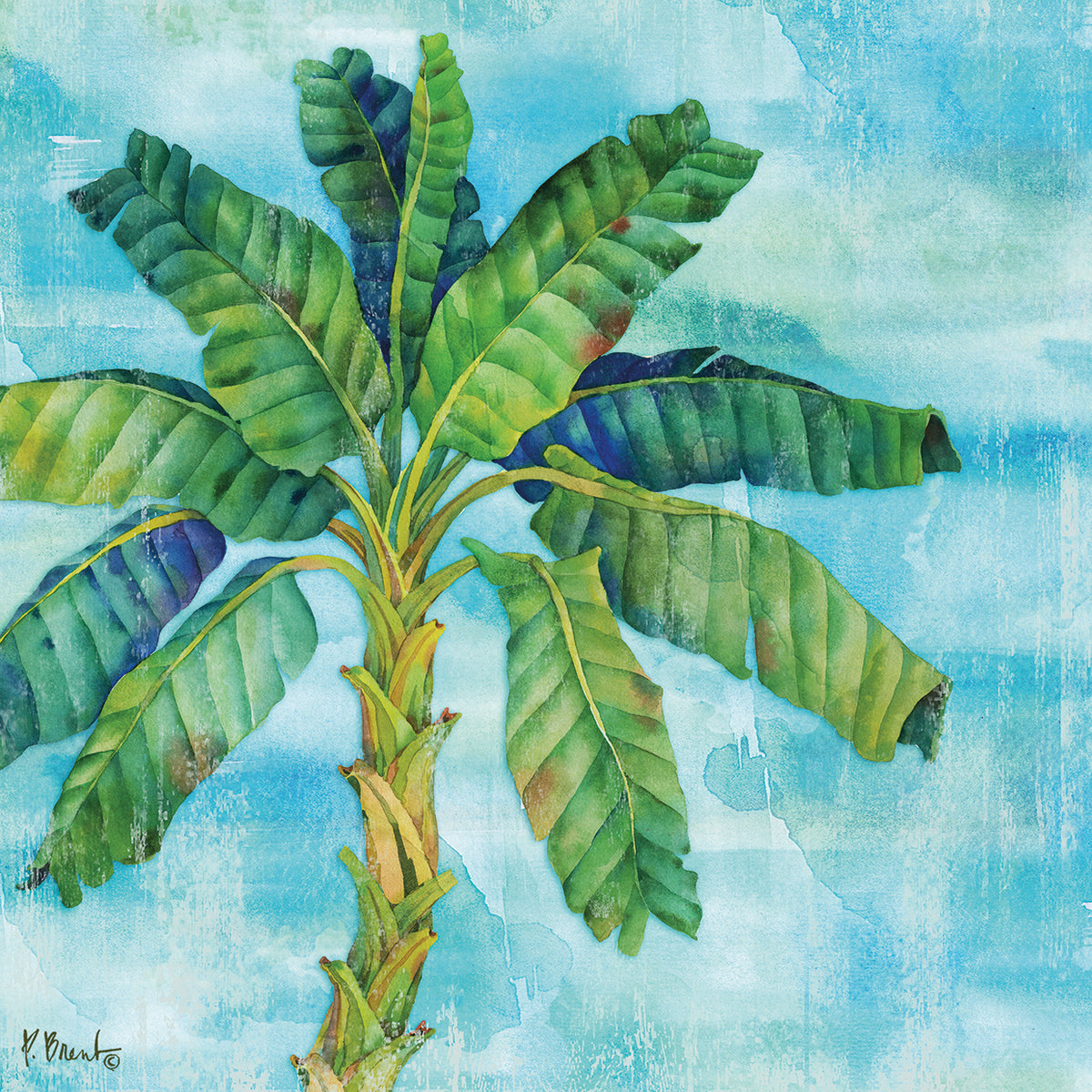 Arianna Palm I by Paul Brent - highest quality handcrafted wall art work on large canvas & framed canvas prints