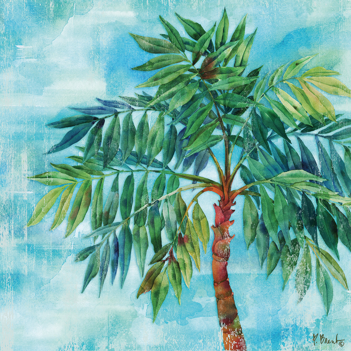 Arianna Palm II by Paul Brent - lowest price wall art work on large canvas & framed canvas prints
