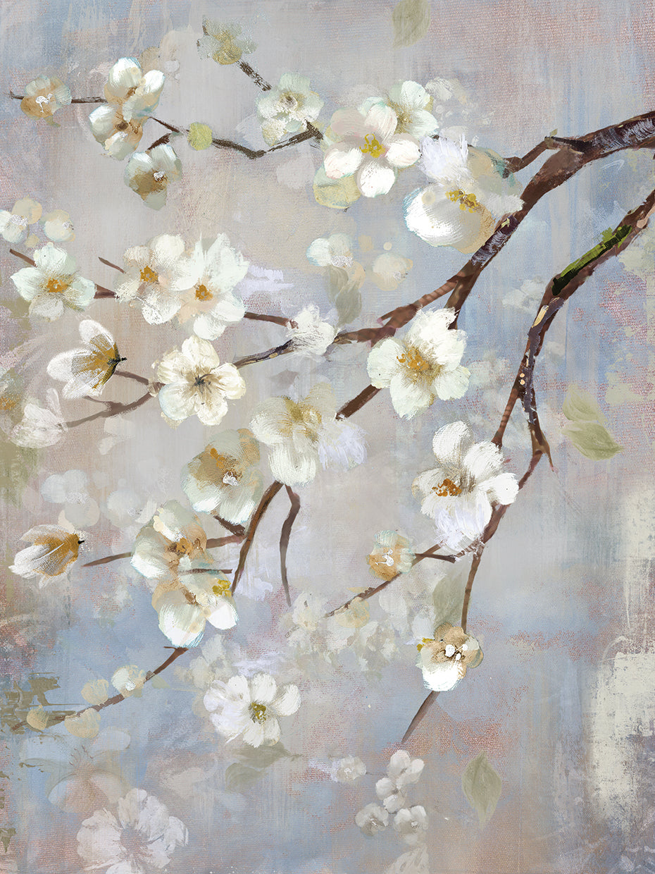 Prosperity II
