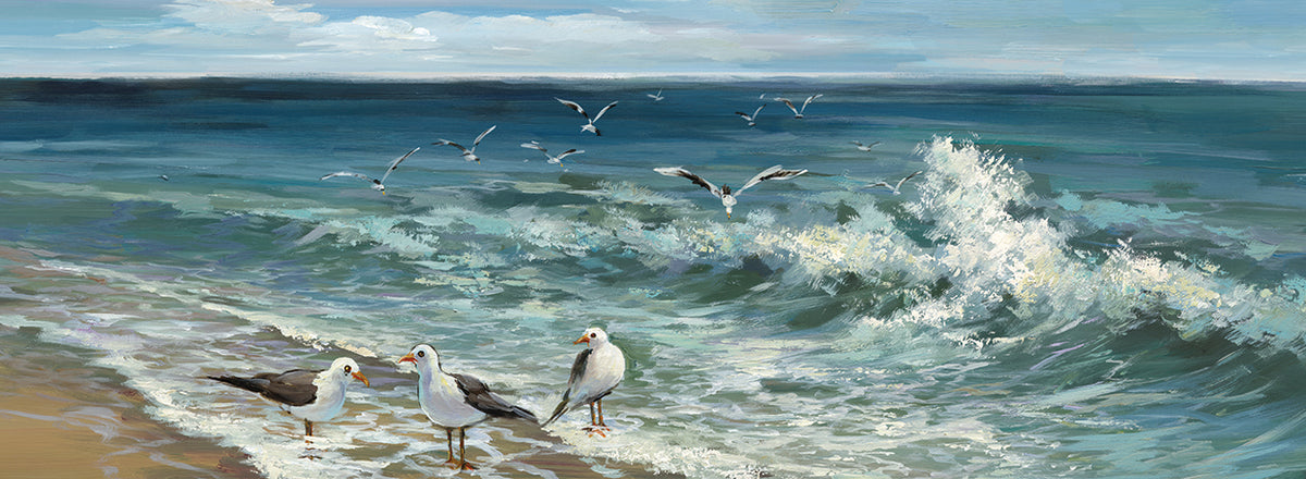 Shorebirds II