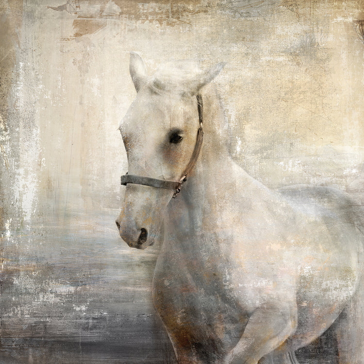 Arte de la lona de la tribu IV
