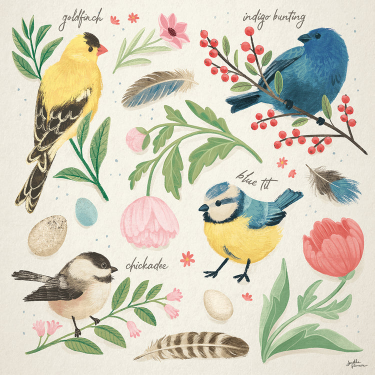 Bird Study II