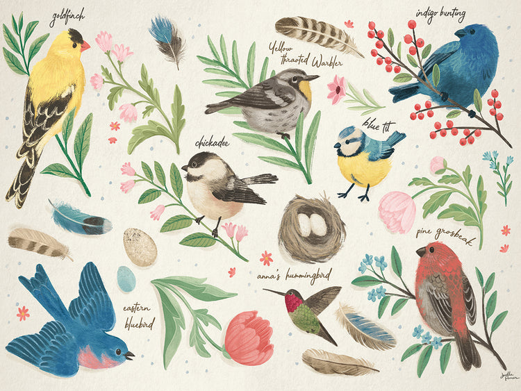 Estudio de aves I Arte en lienzo