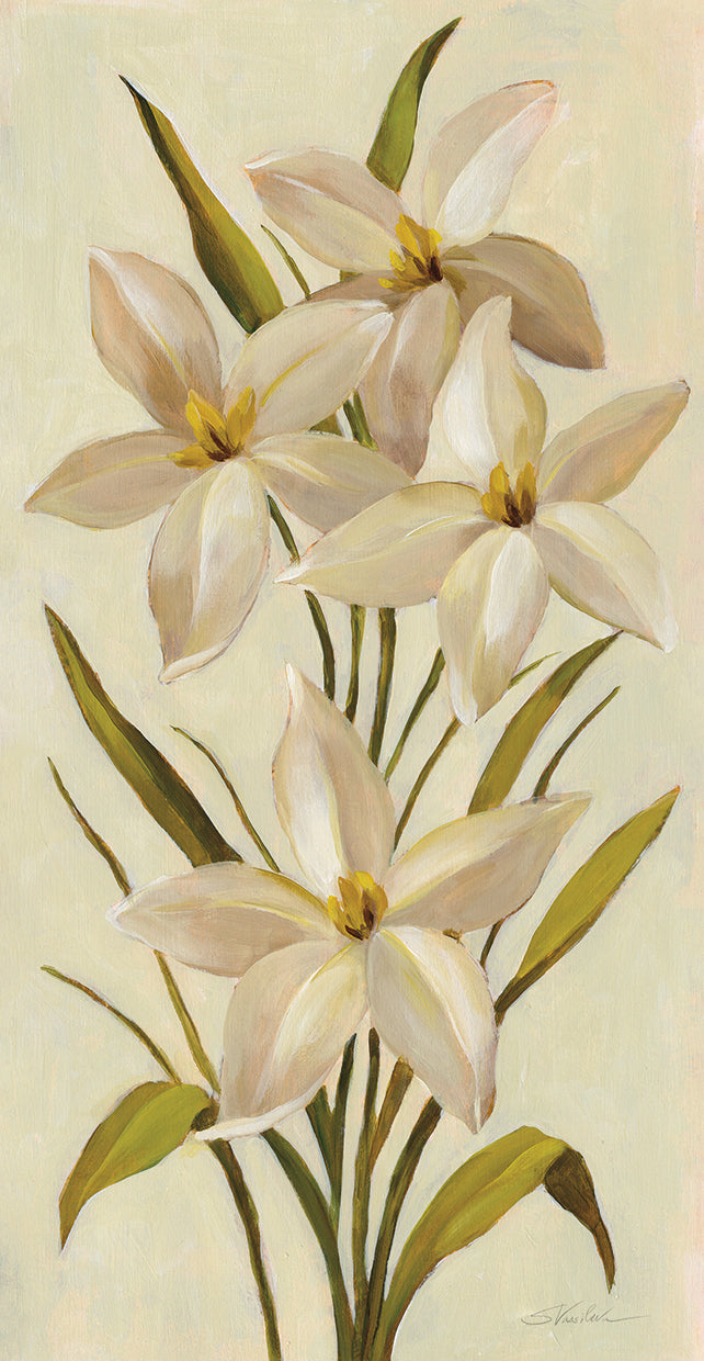 Elegant White Florals II by Silvia Vassileva - handcrafted wall art work on large canvas & framed canvas prints, made to order