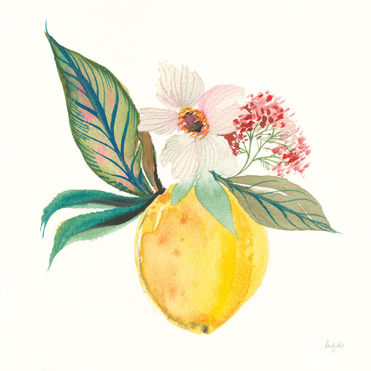 Citrus Summer IV