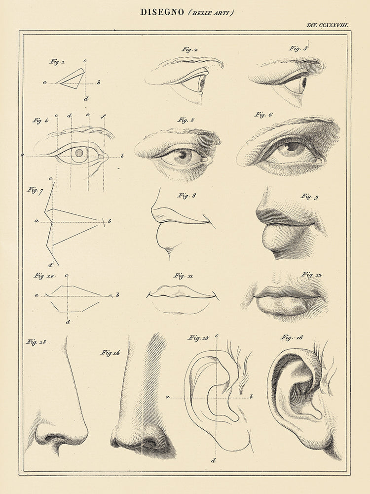 Arte de la lona del gráfico de la cara