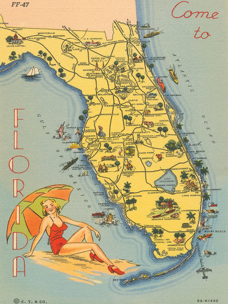 Florida Postcard VI