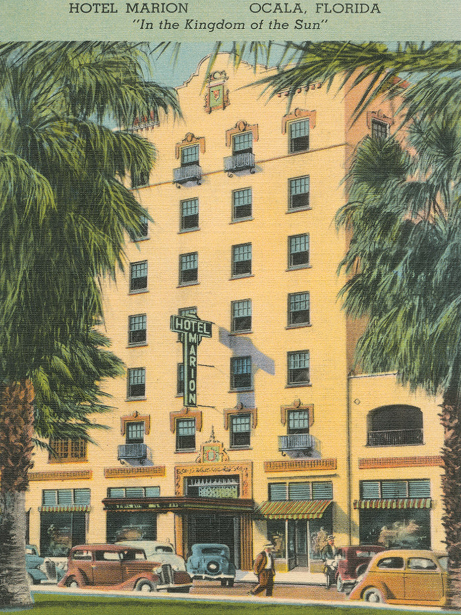 Florida Postcard V