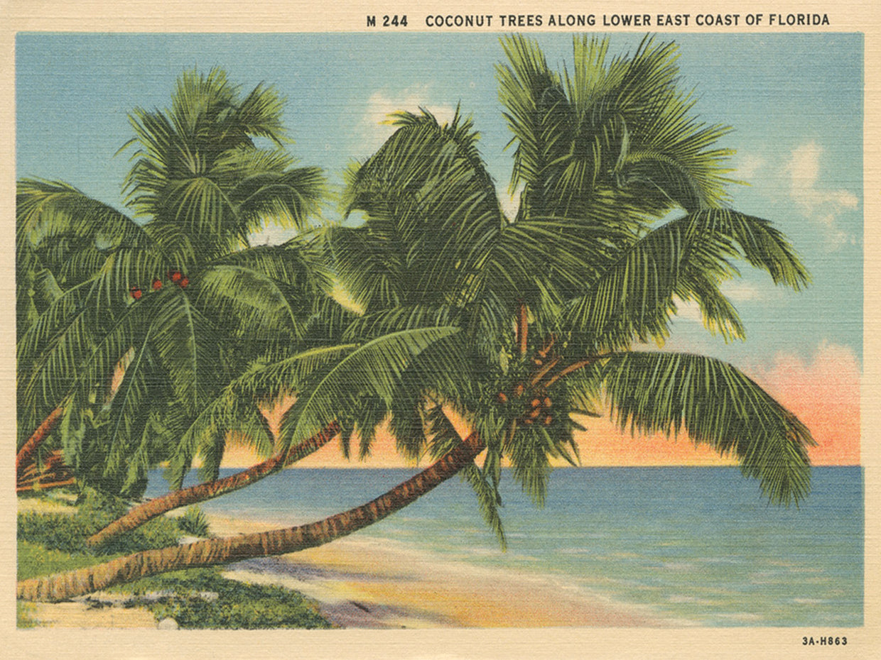 Florida Postcard III