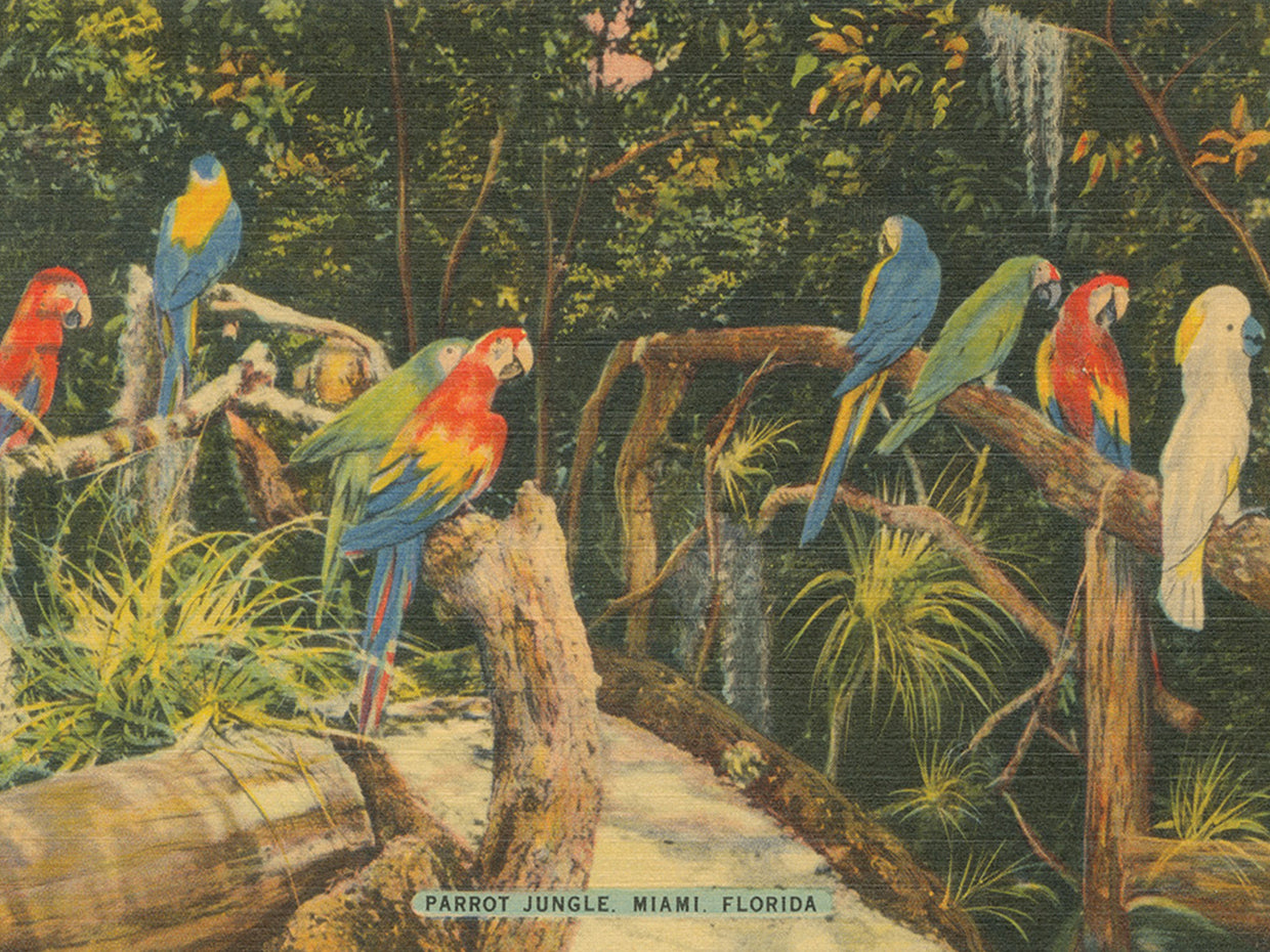 Florida Postcard II