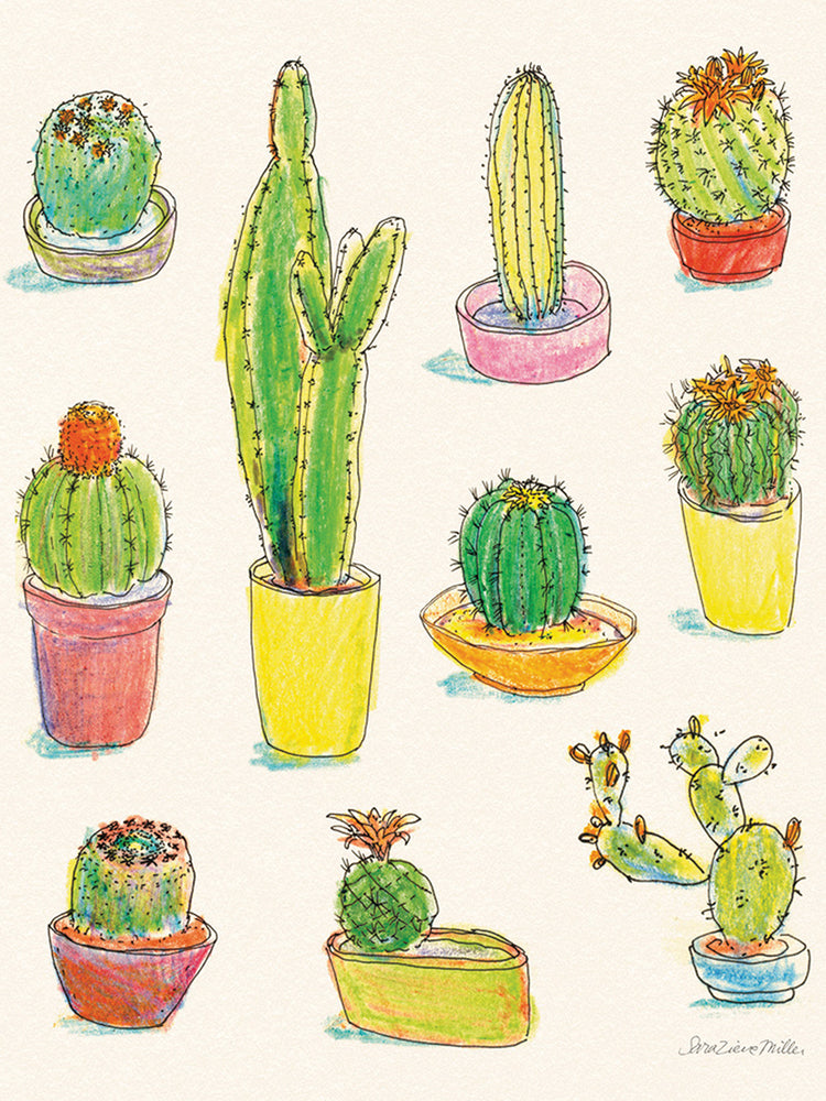 Cacti Garden I