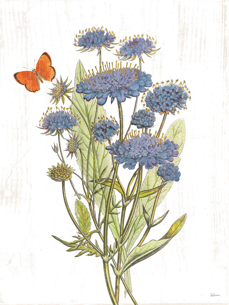 White Barn Flowers IX