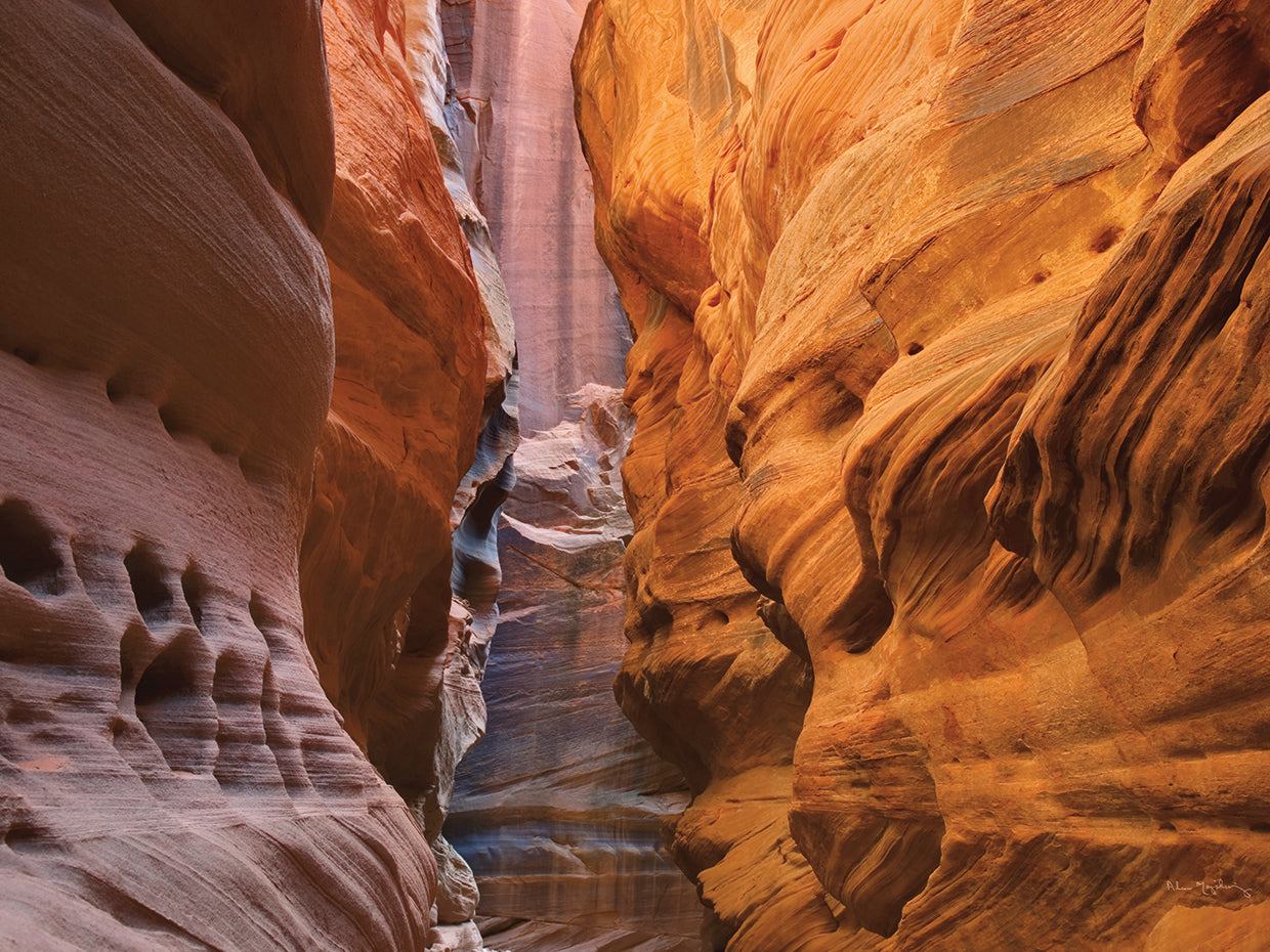 Buckskin Gulch V